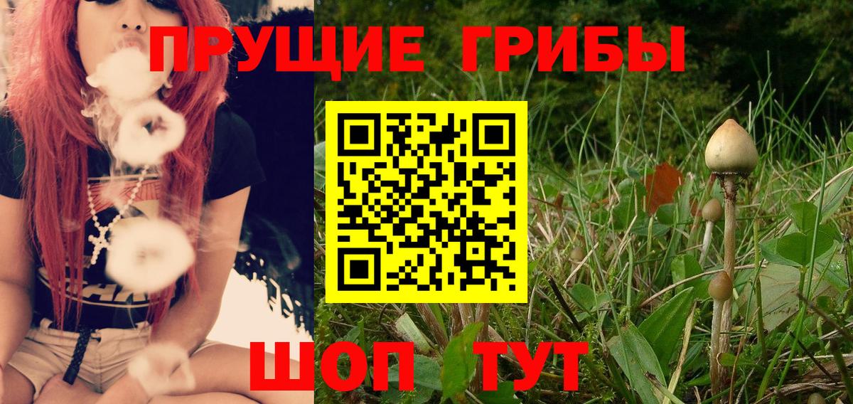 Галлюциногенные грибы мицелий Удомля