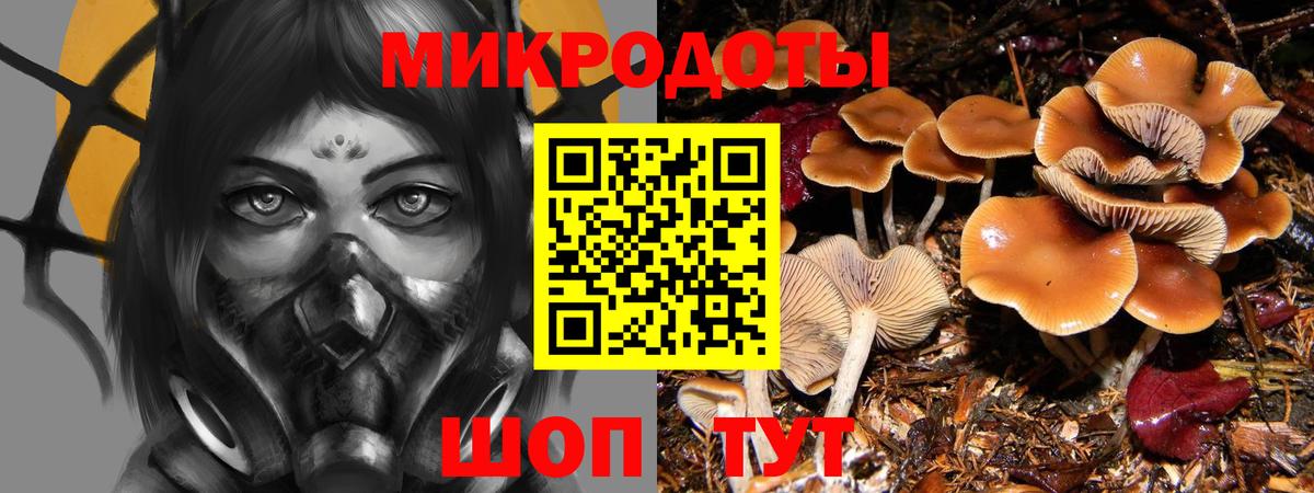 закладки  Вход с VPN  Удомля  Псилоцибиновые грибы GOLDEN TEACHER 